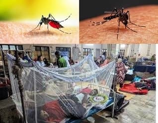 চট্টগ্রামে ডেঙ্গু-চিকুনগুনিয়ার দ্বৈত প্রাদুর্ভাবে সংক্রমণ ও মৃত্যুহারে ঊর্ধ্বগতি