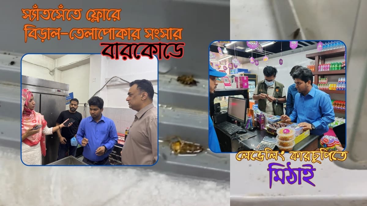 অস্বাস্থ্যকর পরিবেশে খাদ্য উৎপাদনের অপরাধে ২ প্রতিষ্ঠানকে জরিমানা